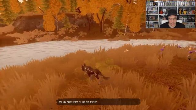 PAS SI COOL D'ETRE UN LOUP ? Paws And Soul : First Step [FR]