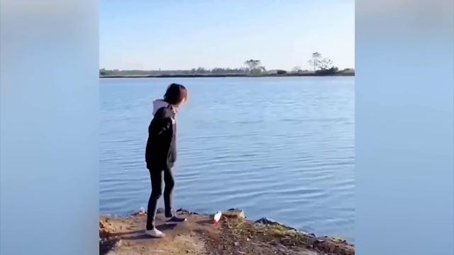 Funny Moments Of The Week / Cute People And Animals Doing Stupid Things 2023 #15