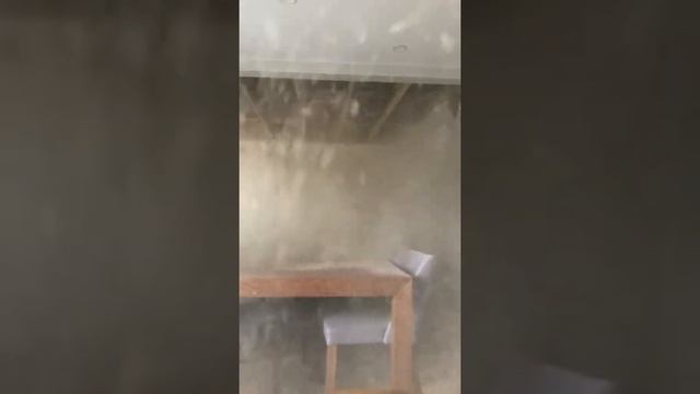 Работают профессионалы