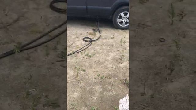 Квартирный ребрендинг