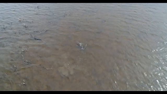 Eb9248a760f76725da56e31fe788f37c