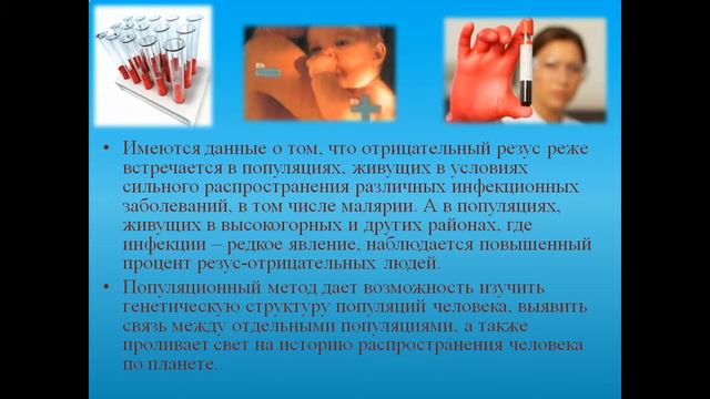 Презентация Генетика человека