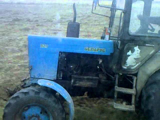 Видео с моего телефона