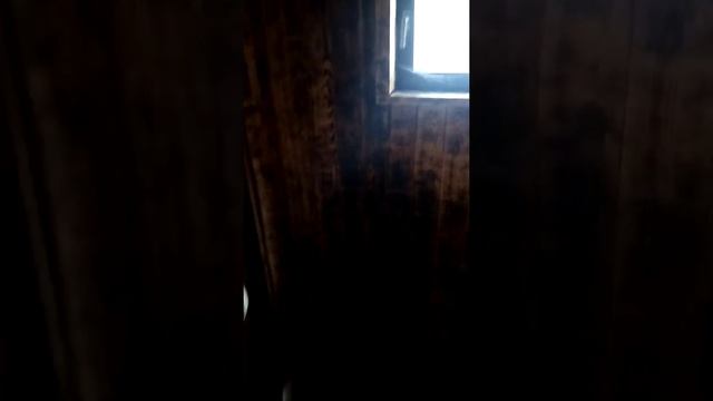 делаю предбанник ?