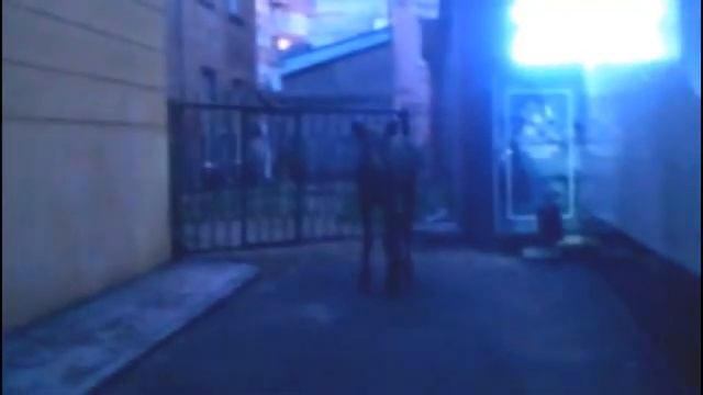 По центру Перми бегал лось