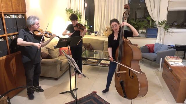 Hoffmeister Double Bass Concerto No.1 In D Major - Naomi Shaham
