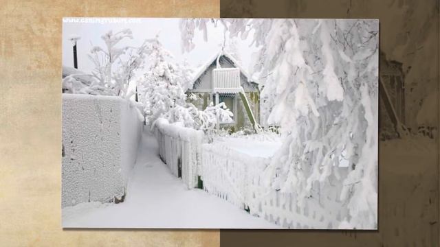 Поет Дмитрий Богомолов 