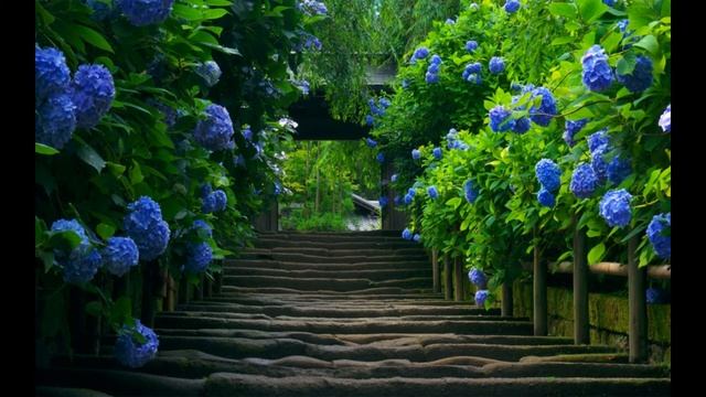 Внутренняя алхимия 06  Древняя практика цигун