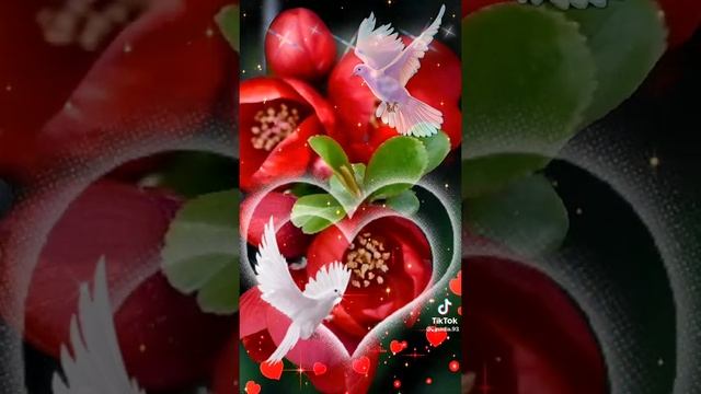 5f7ed09788f40bd6c1148167ede695f5