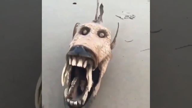 49605df1d6688dc133865716ec8f8ed6