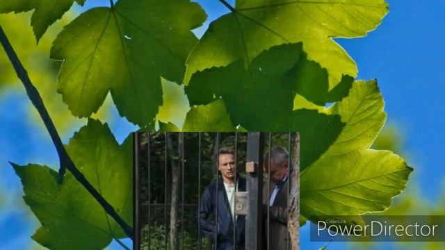 Радостное время