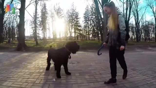 E5a634aa26d206660758722b25d9a50e