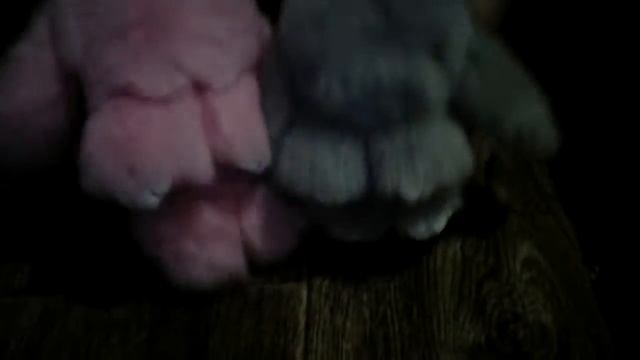 Милые кролики с Алиэкспресса! Очень милые!