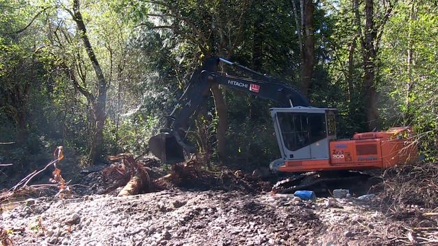 Harrison Salmon Stronghold Slough Restoration 2014