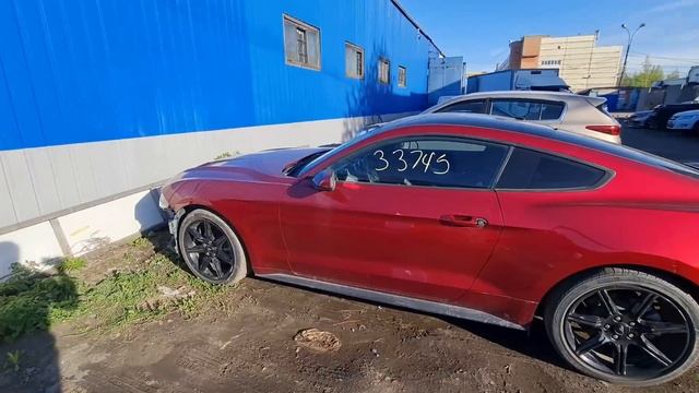 Купить авто из Америки Мустанг с Copart
