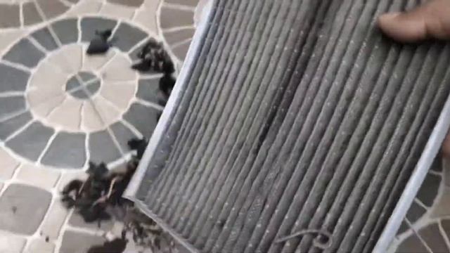 #Hyundai Venue ..Chuhoo Ne Gadi Ka Satyanaash Kar Diya...A.C Filter / Cabin Filter Maintenance