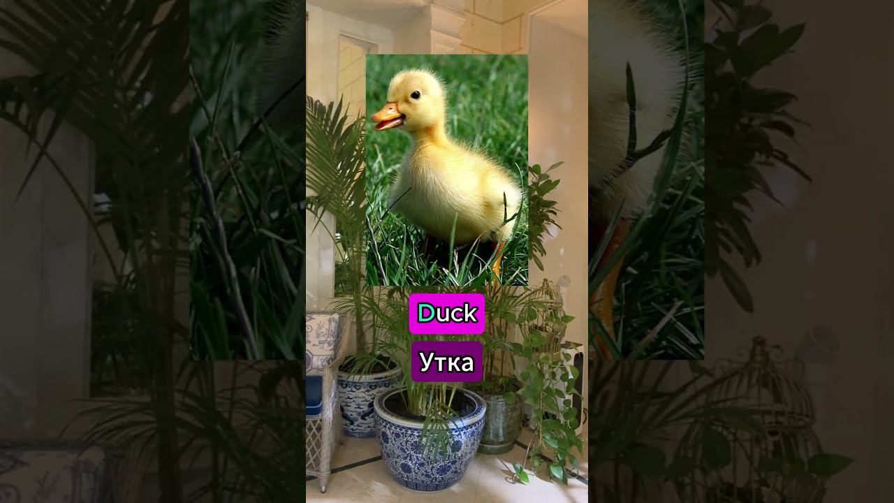 F41da1c244476108ff6f473d5f643613