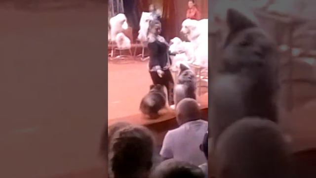 71cda21db82e0b28858300eeb7e7468b