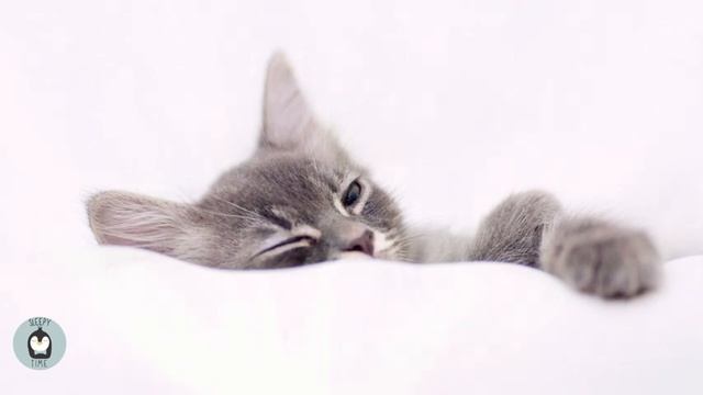 Baby Sleep Music✨ Lullaby Mozart