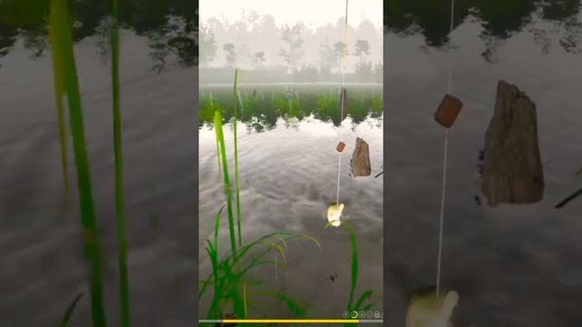 Самая тяжёлая рыба на данный момент. Карп на 6.164 кг.