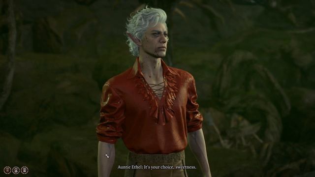 Baldurs Gate 3: Bard solo Green Hag  Honour Mode