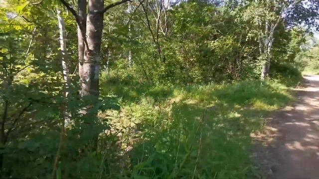 Иду, пою, рассуждения //фото с букетом на даче//25.06.2021.ги о вакцине.. //