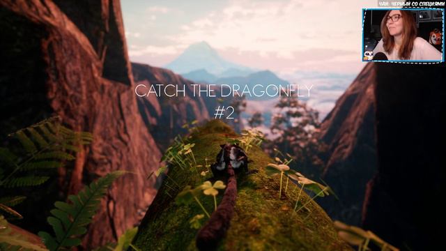 Казуальный Away: The Survival Series🐿️ - Прототип Белки Летяги