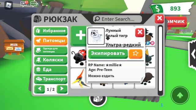 Время 2 часа ночи но мне это не мешает сдедать обзор на моих петов  в адопт ми роблокс