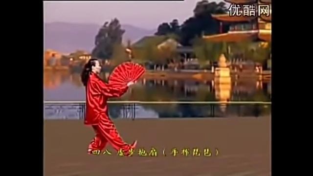 Тайцзи Кунфу Шань 2,  6 дорожки 1част