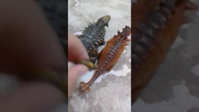 мои динозавры  драконы и рептилии 🐢🐊🐍🦎🦖🦕