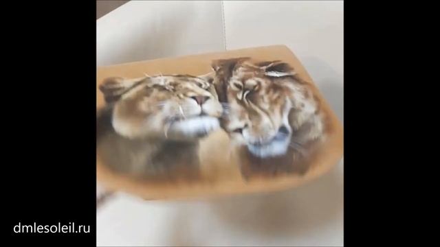 Сумка и кошелек плоский 