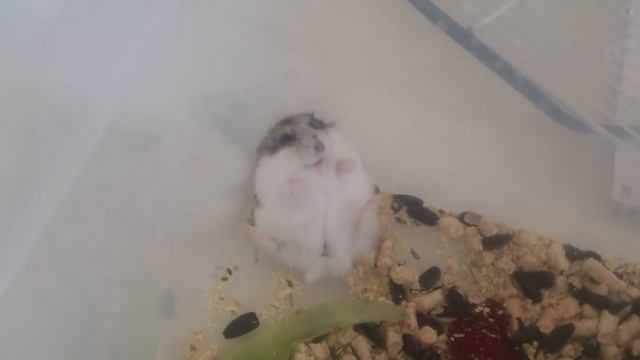 494719c44ba3e72c6cb5643f91b4dcc7