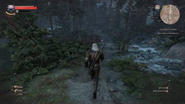 Witcher 3 Gameplay Walkthrough No Commentary - Video 6 (PS5 4K 60fps)