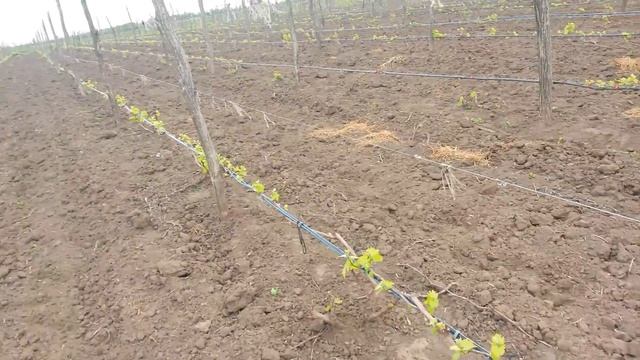 5f3c9ab3eae6657840d12b313e6579b4