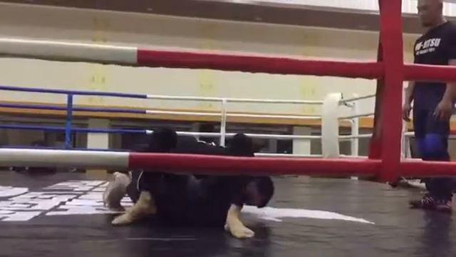 греплинг Индонезия    Grepling Garuda