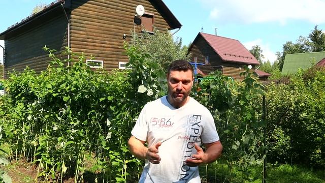 24c6fafcb81646f09d8084d849141ddb