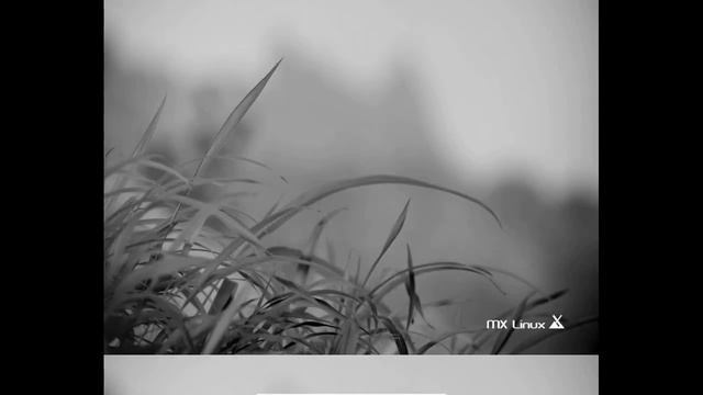 MX Linux 19 при малых объёмах ОЗУ