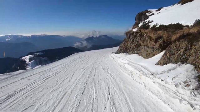 Сочи 2020 спуск Фиалка