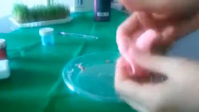 Масло слайм лизун из шампуня и освежителя своими руками