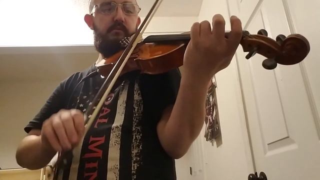 New Violin, Cecilio CVNAE-330