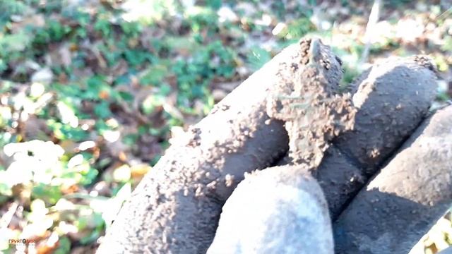 #368 Ну вот и морозец наступил. Коп с Garrett Apex