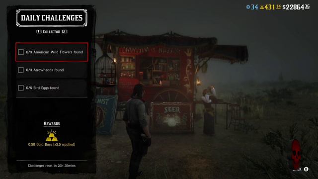 RED DEAD REDEMPTION 2 ONLINE MADAM NAZAR LOCATION 22/10