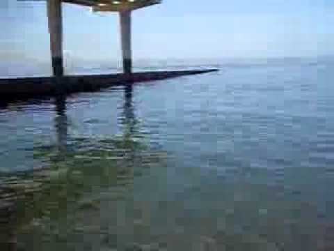 75a0a6be05253e5c29ecb33cf6ebdea3