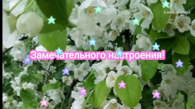 Самое дорогое пожелание с добрым утром! ❤