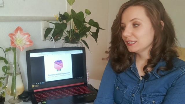 Вирощування та пророщування сандалу Santalum з насіння сандалове дерево