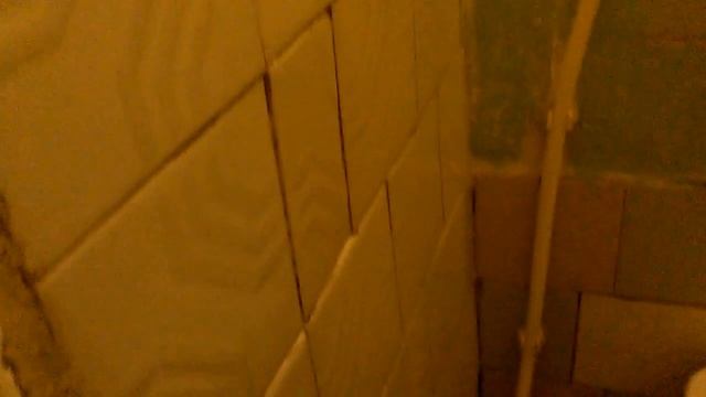 ШОК!!! НА МЕНЯ НАПАЛ БОРЩ В ТУАЛЕТЕ!