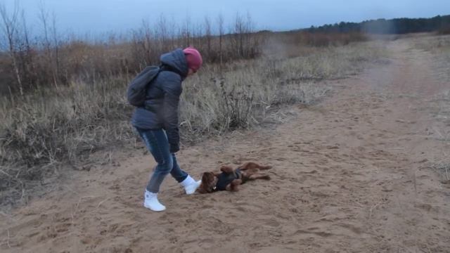 Дриму 7 месяцев