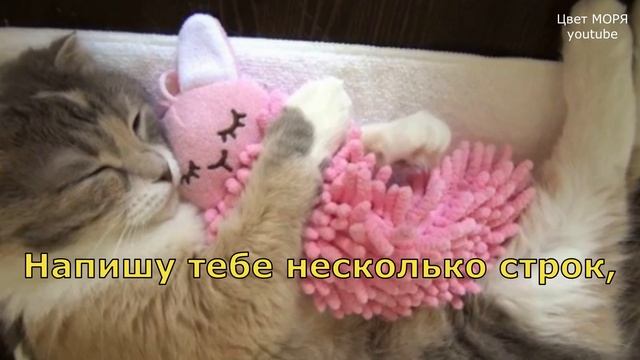 ДОБРОЙ НОЧИ СЛАДКИХ СНОВ (пожелания тебе от меня) Добрые пожелания СПОКОЙНОЙ НОЧИ!