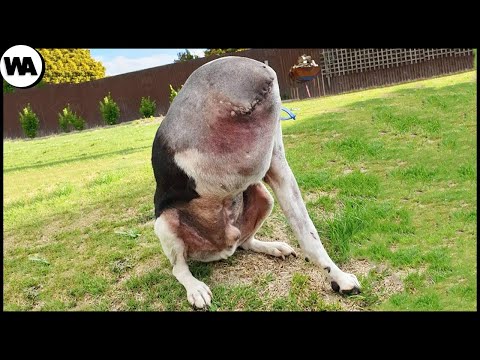 D5694df3a523e778c9ab3c58379c9dfa