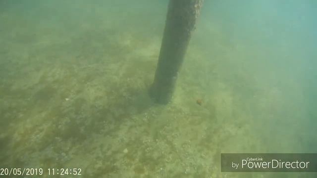 Ganita Holiday Village 4*